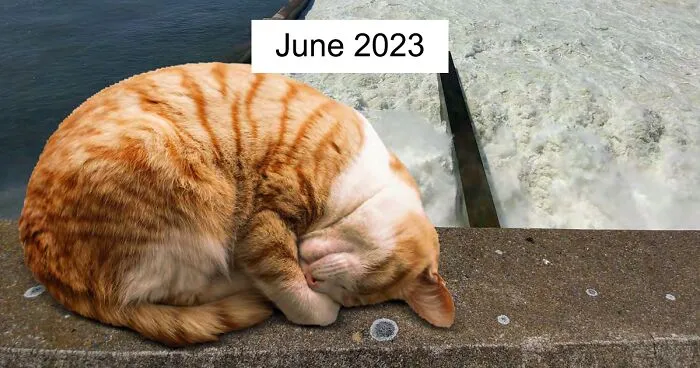 The U.S. Army Corps Of Engineers' 2023 Calendar Is A Funny Blend Of Engineering And Entertainment
