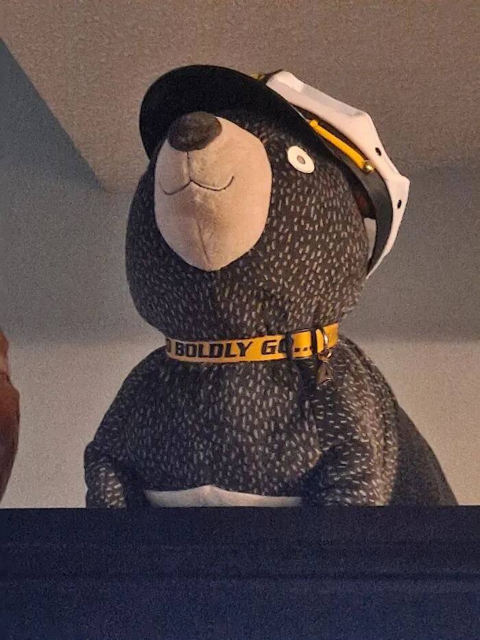 This Is Boppo