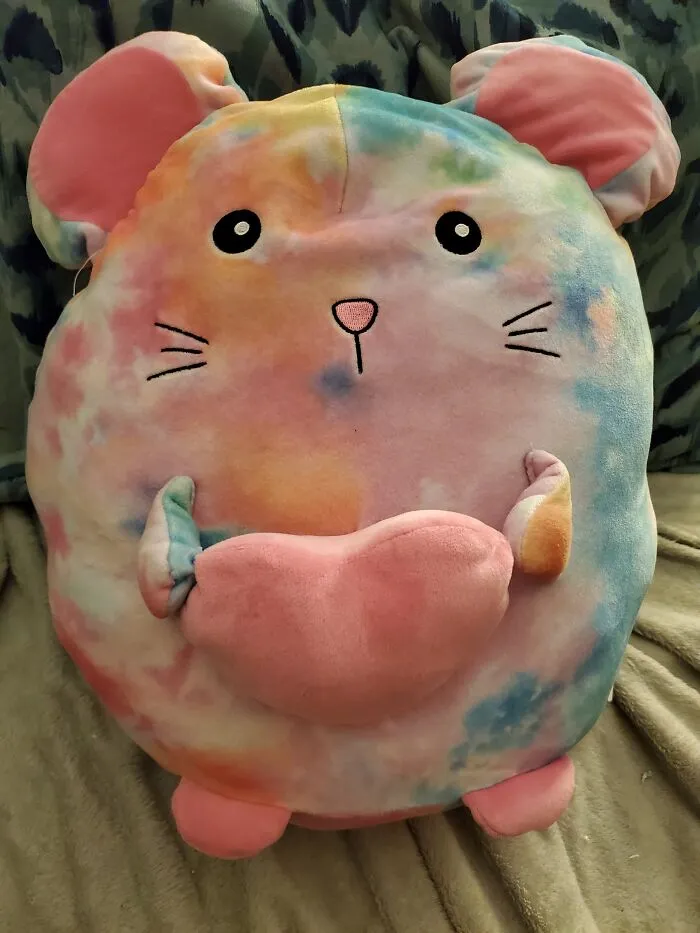 Sherbet The Incredibly Huggable Mouse!