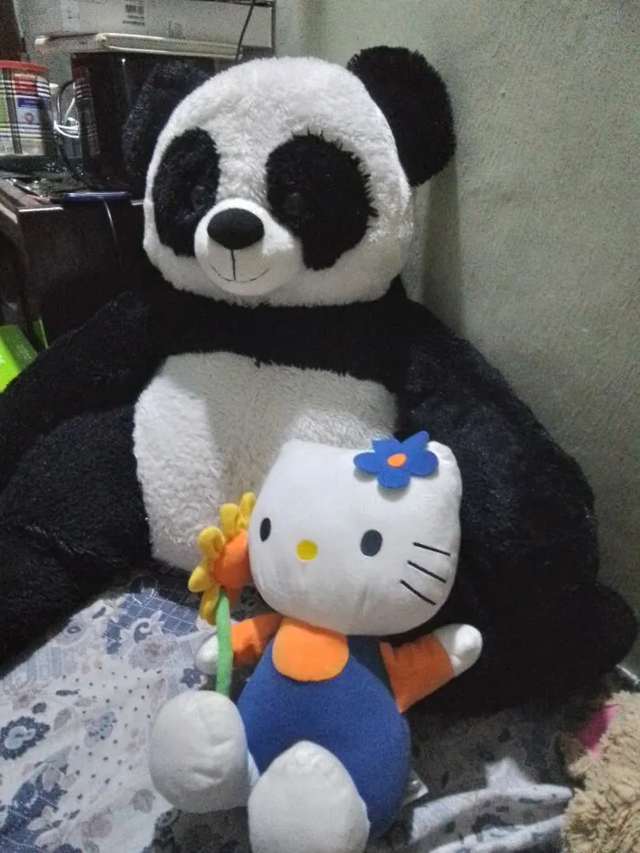 #56  Kitty And Panda Are Recent Additions To My Plushie Collection, I Got Them Second Hand From The Same Shop On My Street. I Have A Weakness For Plushies  & Panda By Far Is The Cuddliest. But For Some Reason, My Youngest Niece (Age 1) Is Terrified Of Him!