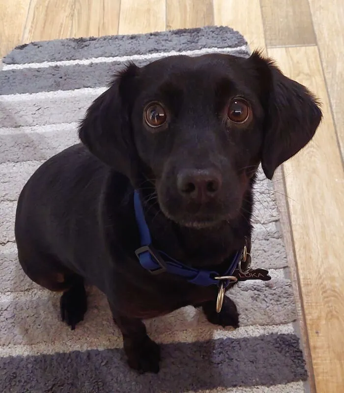Luka - The Black Pearl