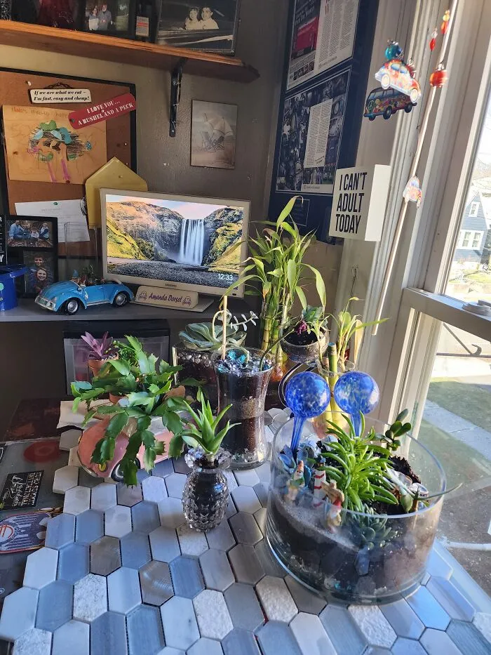 My Co-Workers