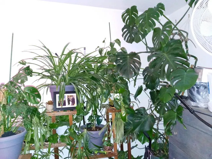 Just One Corner In My Room