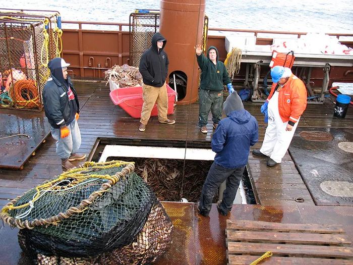 30 Of The Most Unusual, Most Mysterious, Or Just Weird Things Seafarers Ever Experienced During Their Journeys