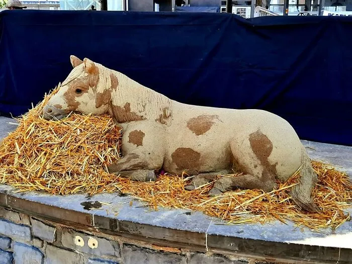 27 Unbelievable Sand Sculptures By This Artist That Might Make You Do A Double Take (New Pics)