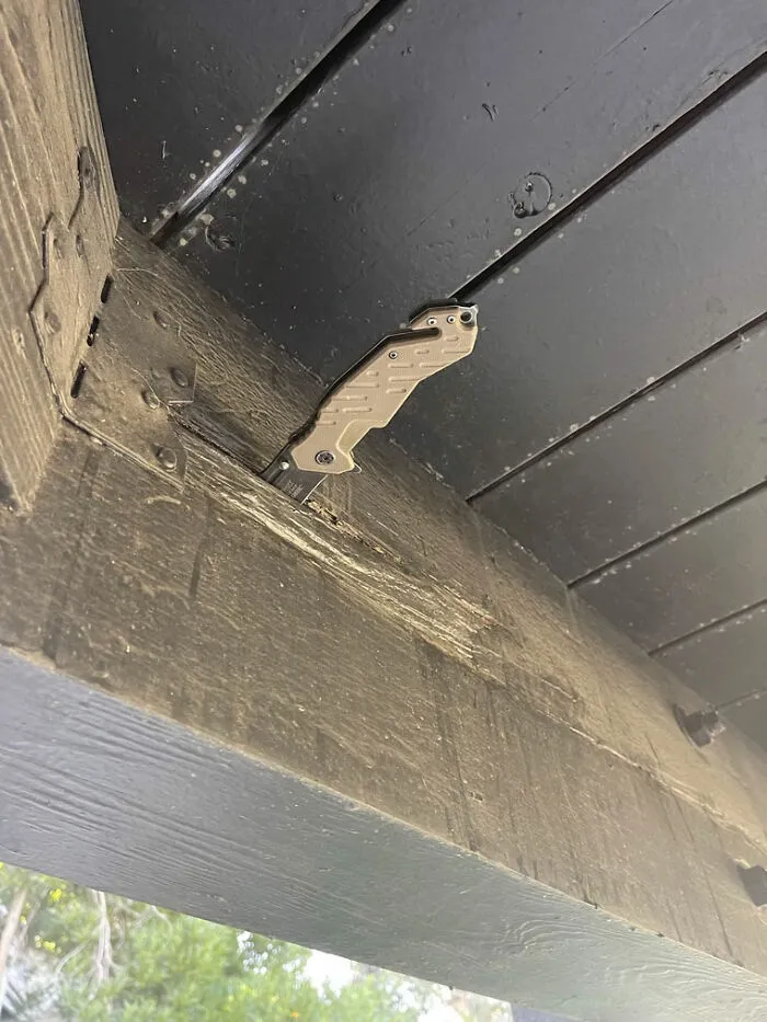 35 "Pesadillas" y "milagros" descubiertos durante inspecciones estructurales (nuevas fotos)