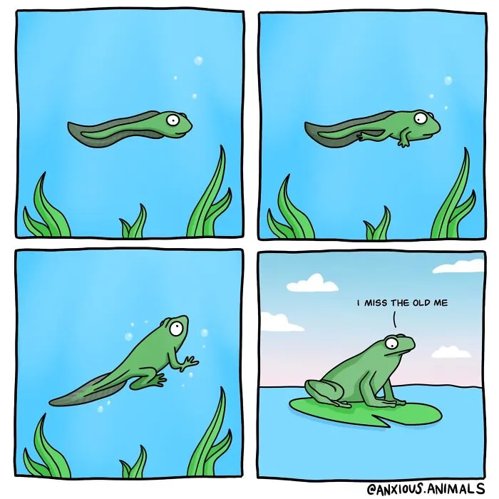 30 “Anxious Animals” Comics That Perfectly Sum Up The Struggle Of Anxious Thoughts (New Pics)