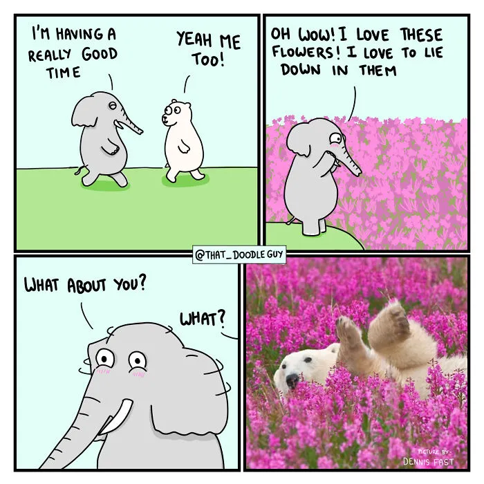 What I Think Happened Before These Popular Animal Pics Were Snapped (30 New Comics)