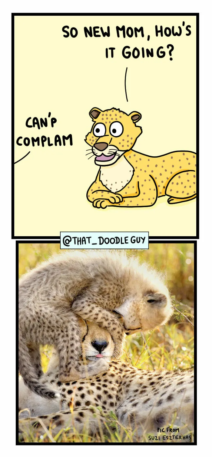 What I Think Happened Before These Popular Animal Pics Were Snapped (30 New Comics)