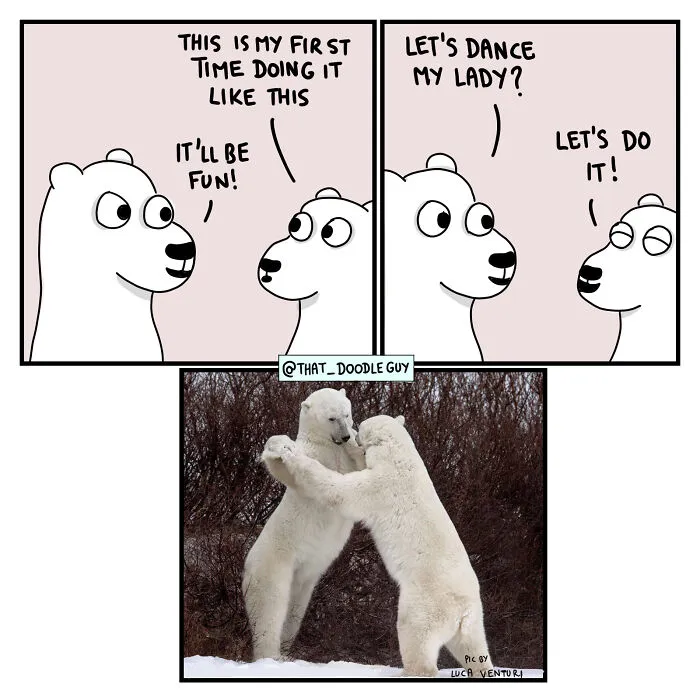 What I Think Happened Before These Popular Animal Pics Were Snapped (30 New Comics)
