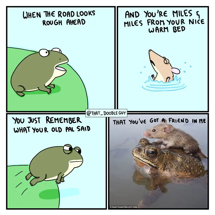 What I Think Happened Before These Popular Animal Pics Were Snapped (30 New Comics)