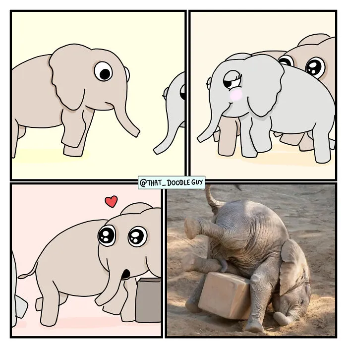 What I Think Happened Before These Popular Animal Pics Were Snapped (30 New Comics)