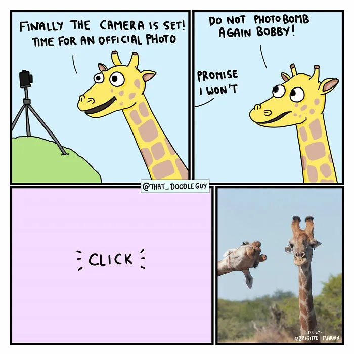 What I Think Happened Before These Popular Animal Pics Were Snapped (30 New Comics)