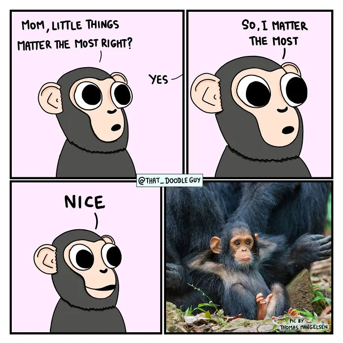 What I Think Happened Before These Popular Animal Pics Were Snapped (30 New Comics)