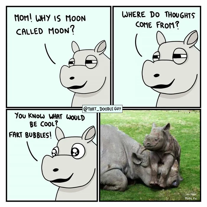 What I Think Happened Before These Popular Animal Pics Were Snapped (30 New Comics)