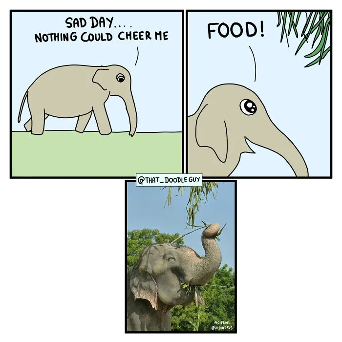 What I Think Happened Before These Popular Animal Pics Were Snapped (30 New Comics)