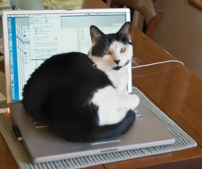 Cloud Architect