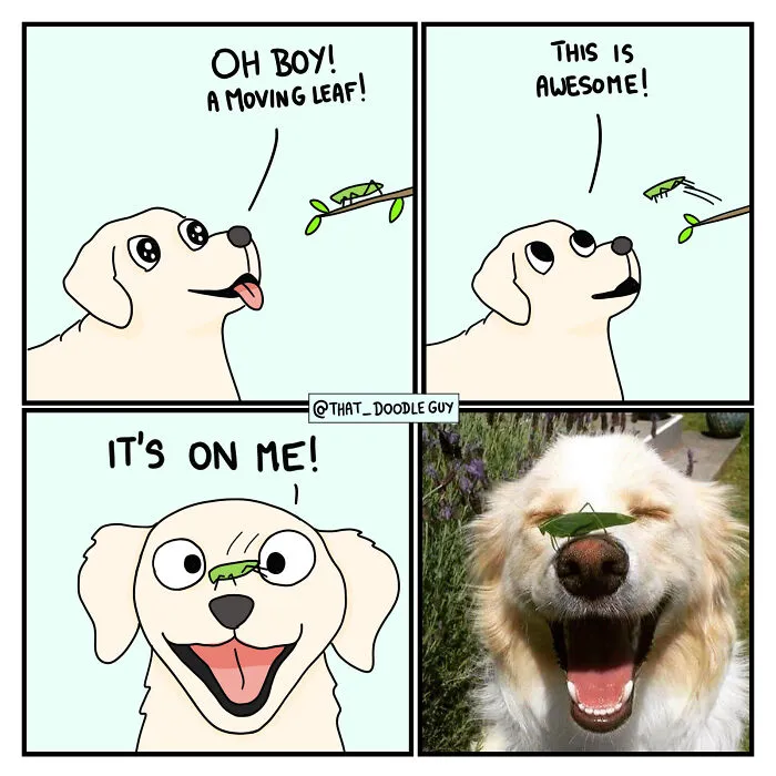 What I Think Happened Before These Popular Animal Pics Were Snapped (30 New Comics)