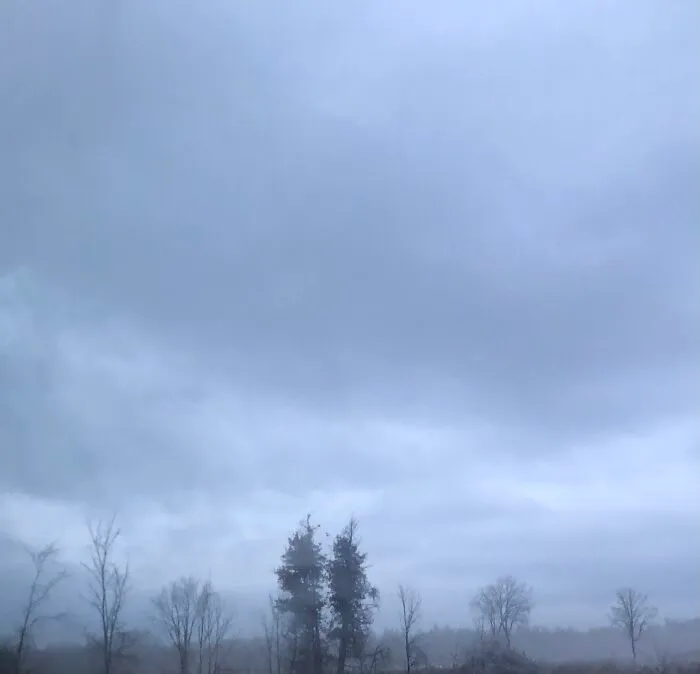 This Was From My Car Window