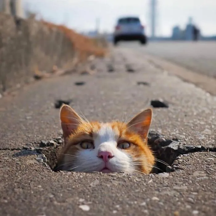 30 Excelentes fotografías tomadas en la calle o en lugares públicos compartidas online