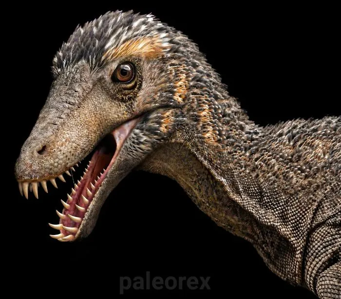 Masiakasaurus