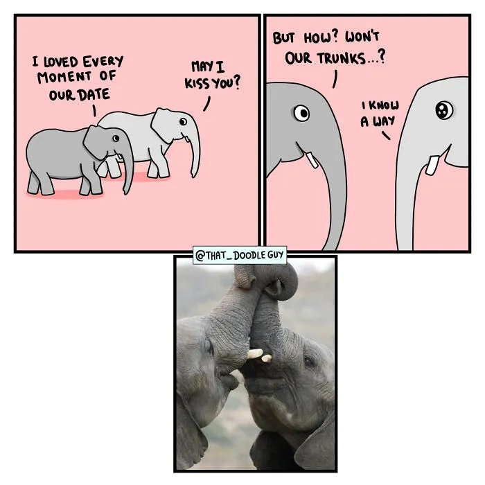 What I Think Happened Before These Popular Animal Pics Were Snapped (30 New Comics)