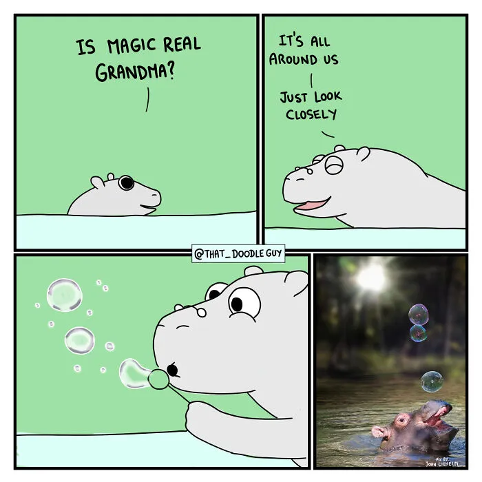 What I Think Happened Before These Popular Animal Pics Were Snapped (30 New Comics)
