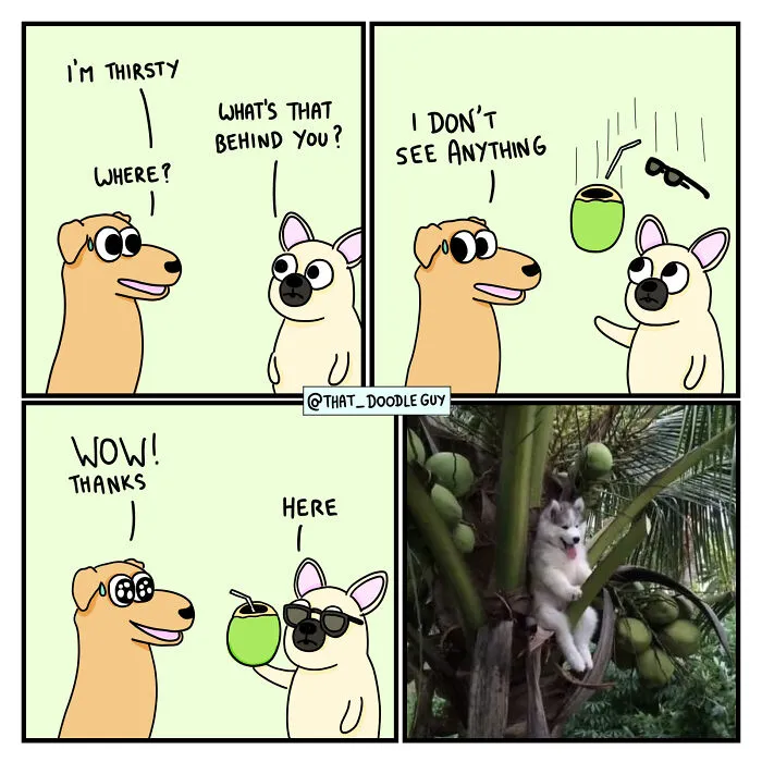What I Think Happened Before These Popular Animal Pics Were Snapped (30 New Comics)