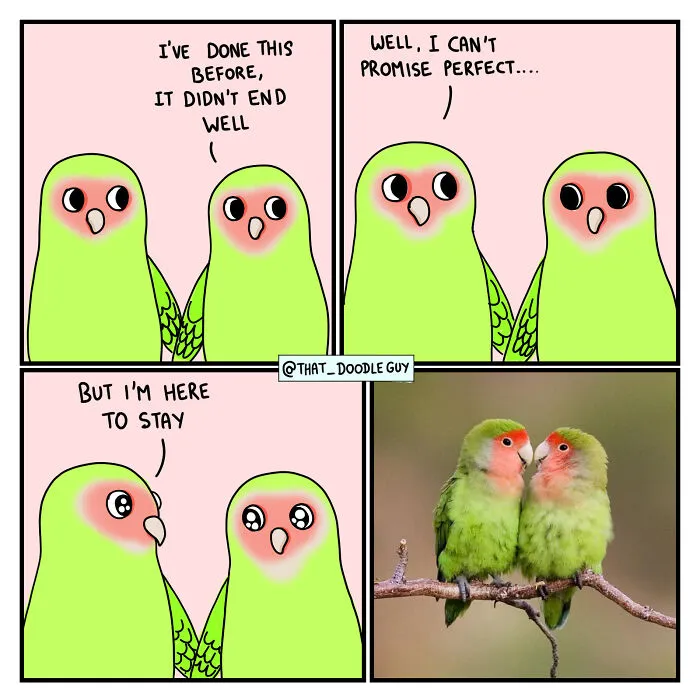 What I Think Happened Before These Popular Animal Pics Were Snapped (30 New Comics)