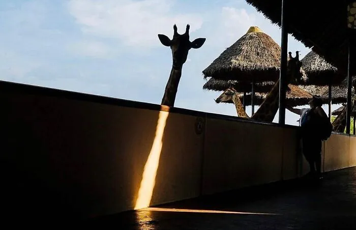 30 Excelentes fotografías tomadas en la calle o en lugares públicos compartidas online