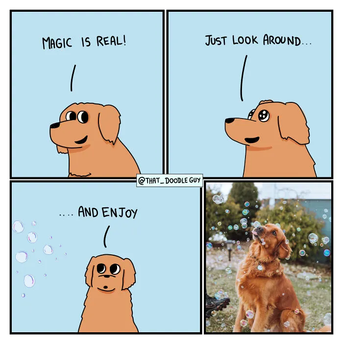 What I Think Happened Before These Popular Animal Pics Were Snapped (30 New Comics)