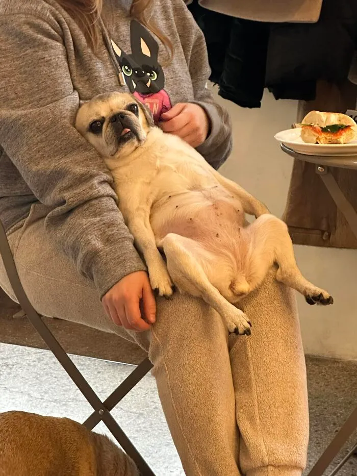 Cute Bread Loaf Spotted In A Bagel Shop Today