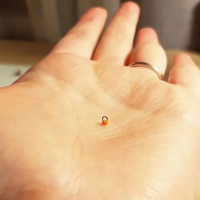 What Is This, A Pumpkin Candy Bucket For Ants?!