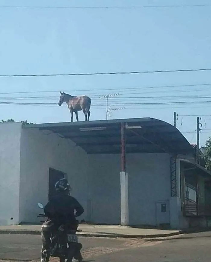 25 Imágenes "sin contexto" que te provocarán muchas preguntas