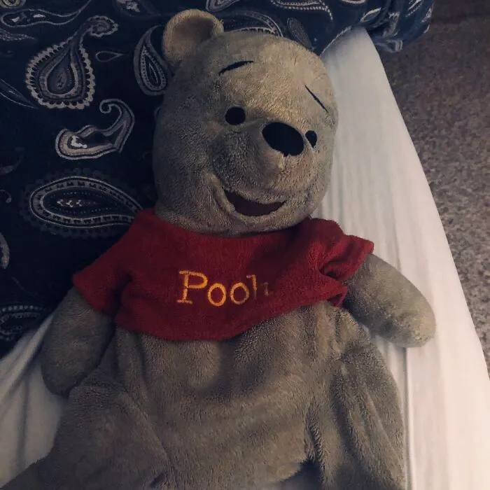 Pooh Bear. The Blue Bear Accidentally Got Washed With The Blue Comforter