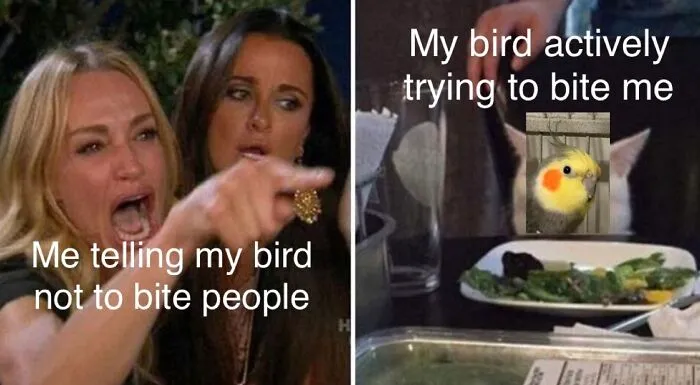I Made It Myself