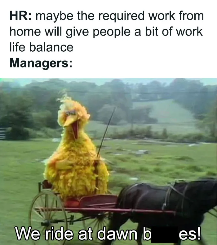 50 Painfully Hilarious Memes From "Just A Typical HR Person"