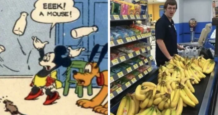 The “What?” Online Community Dedicates Itself To Everything That’s Bizarrely Confusing, And Here Are 33 Of Their Spot-On Posts