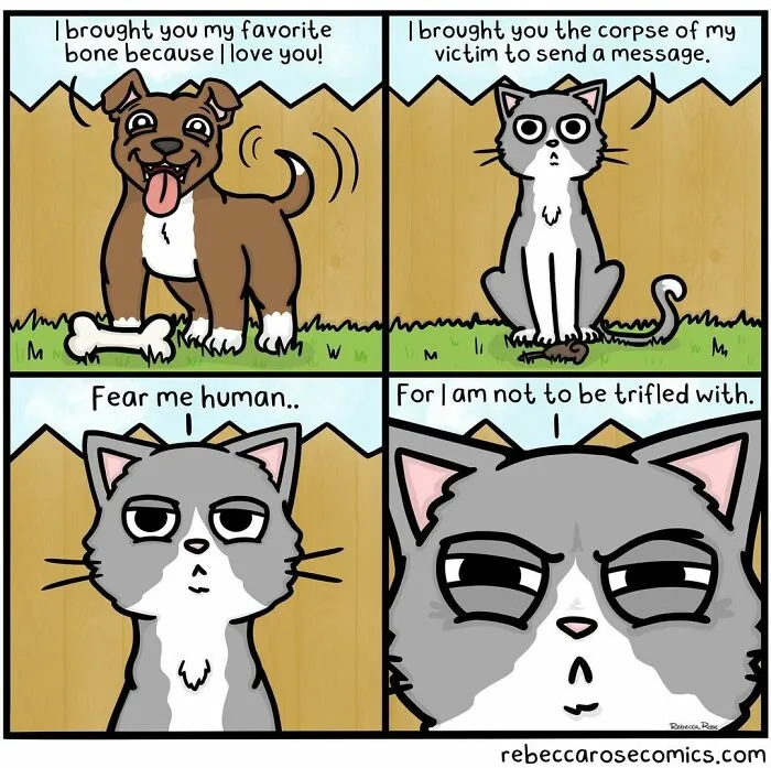 50 Funny And Cute Comics Inspired By The Artist's Life With Her Boyfriend And 3 Cats