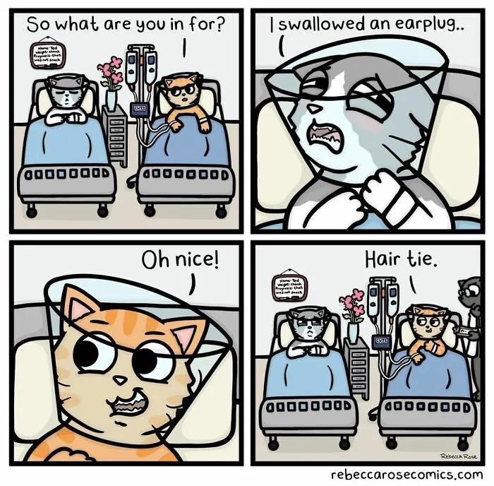 50 Funny And Cute Comics Inspired By The Artist's Life With Her Boyfriend And 3 Cats