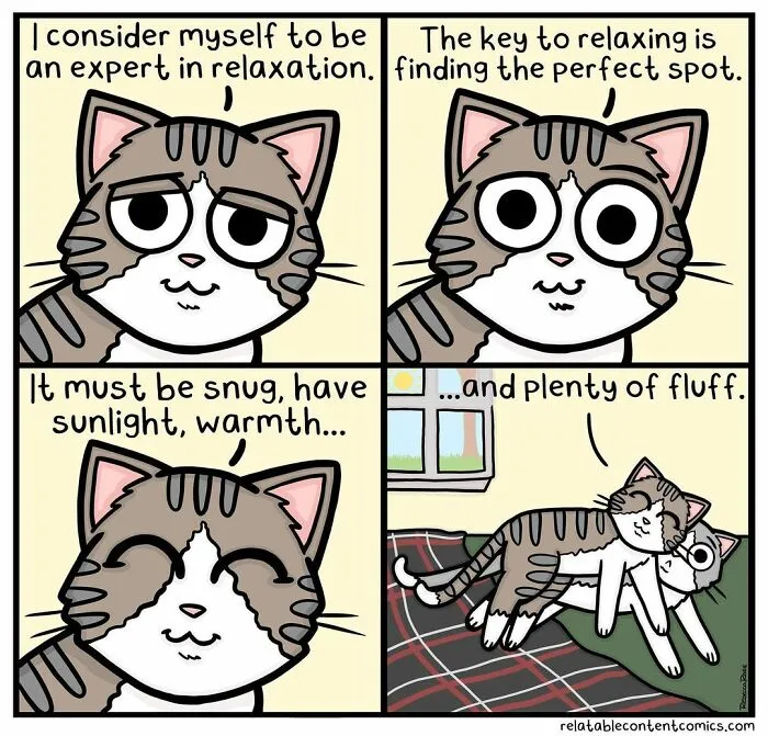 50 Funny And Cute Comics Inspired By The Artist's Life With Her Boyfriend And 3 Cats