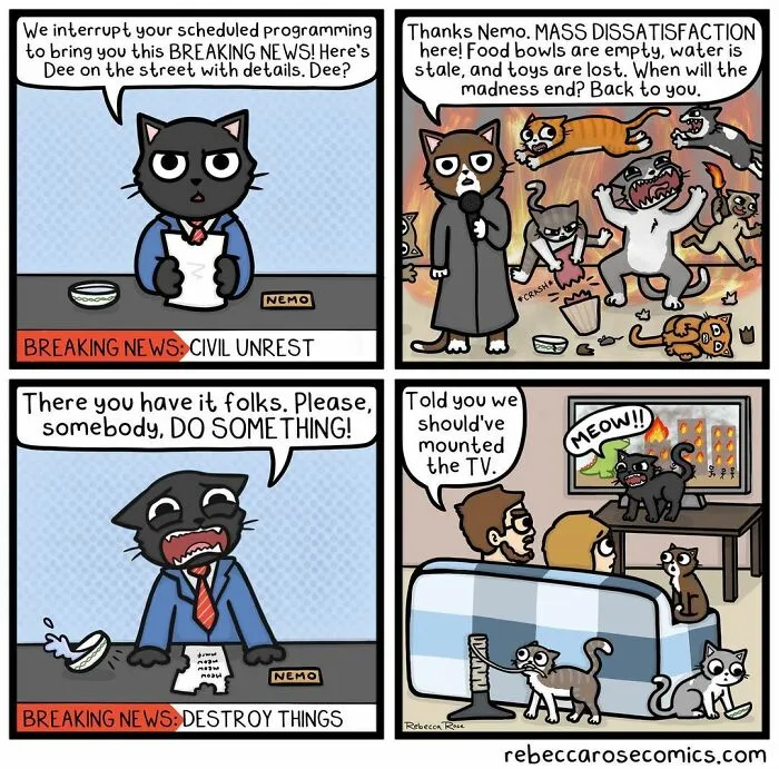 50 Funny And Cute Comics Inspired By The Artist's Life With Her Boyfriend And 3 Cats