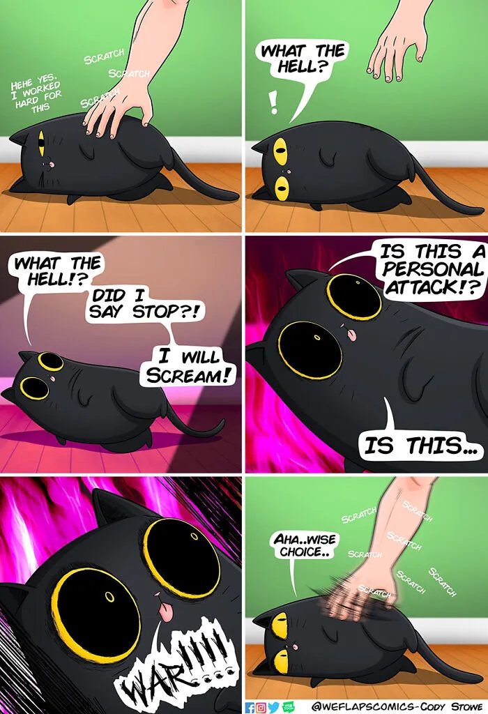 Funny Comics Illustrate The Quirks Of Living With A Cat By Cody Stone Stowe (40 New Pics)