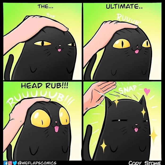 Funny Comics Illustrate The Quirks Of Living With A Cat By Cody Stone Stowe (40 New Pics)