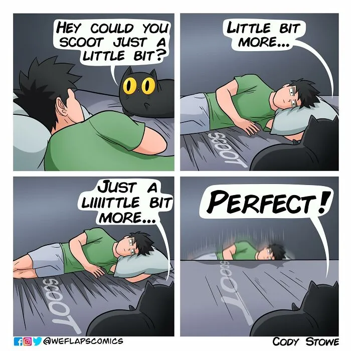 Funny Comics Illustrate The Quirks Of Living With A Cat By Cody Stone Stowe (40 New Pics)