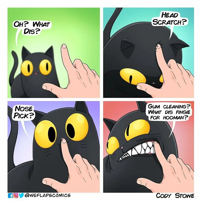 Funny Comics Illustrate The Quirks Of Living With A Cat By Cody Stone Stowe (40 New Pics)