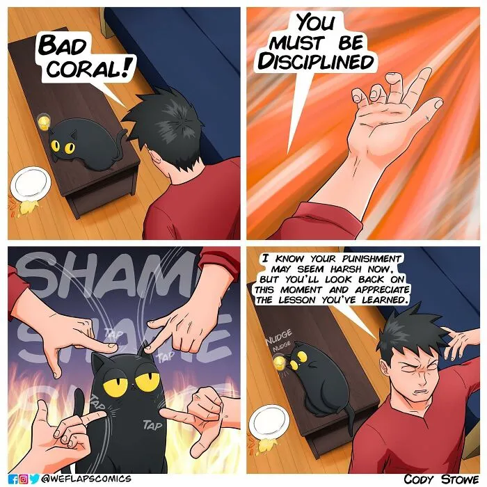 Funny Comics Illustrate The Quirks Of Living With A Cat By Cody Stone Stowe (40 New Pics)