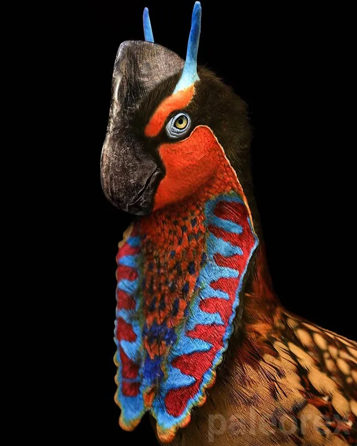 Oviraptor