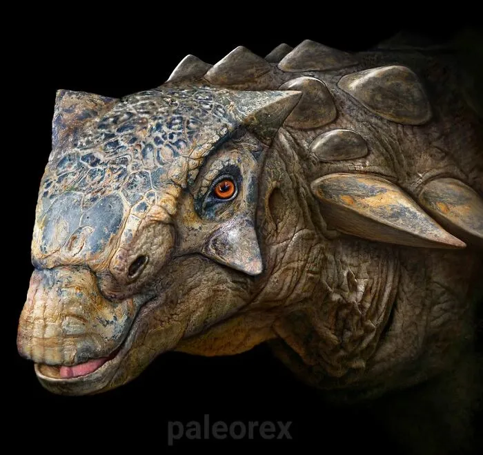 Mymoorapelta