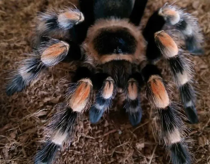 Have 3 Of These (Not The Actual Pic)